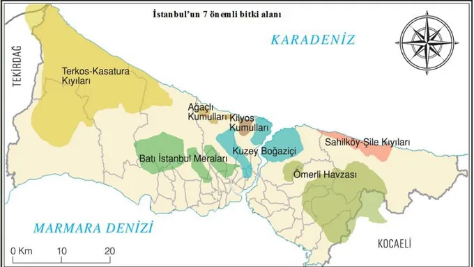 Şekil 1. İstanbul’un Önemli Bitki Alanları (http://iste.istanbul.edu.tr/tr/content/turkiye- (http://iste.istanbul.edu.tr/tr/content/turkiye-bitkileri-ve-korunmasi/istanbul-florasi/ 14.02.2018) 
