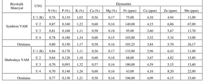 Şekil  4.12.  Her  iki  mikoriza  uygulamasının  Razakı  çeşidinde  sürgün  analizine  etkileri   [Sh- [Sh-VAM: U 1 (Kontrol=VAM yok), U 2 (Harca VAM), U 3 (Fidana VAM), U 4 (Harca+Fidana VAM); Sy-[Sh-VAM:  U 1 (Kontrol=VAM yok), U 2 (Harca VAM), U 3 (Fida