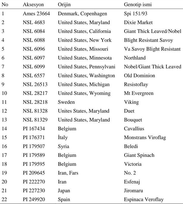 Çizelge 3. 1. Çalışmada kullanılan ıspanak (Spinacia oleracea L.) genotipleri 