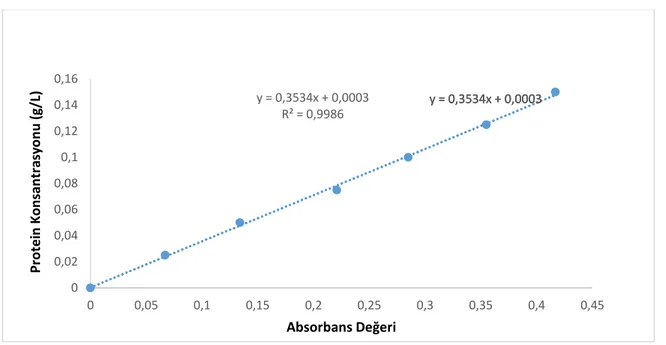 Şekil 4.1. Protein Analizinde Kullanılan BSA Kalibrasyon Eğrisi 