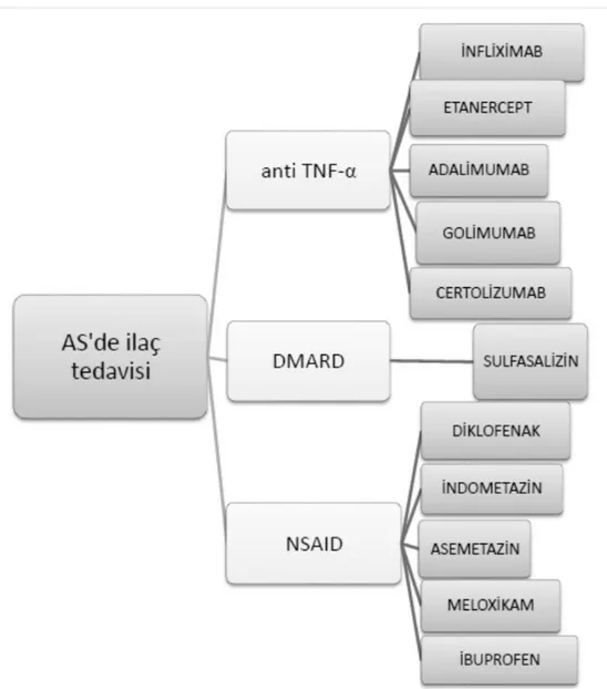 Şekil 2.3. Ankilozan Spondilitte Farmakolojik Tedavi 