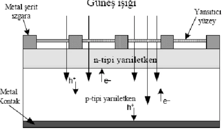 Şekil 1. 4. Solar hücrenin iç yapısı (Erkul, 2010) 