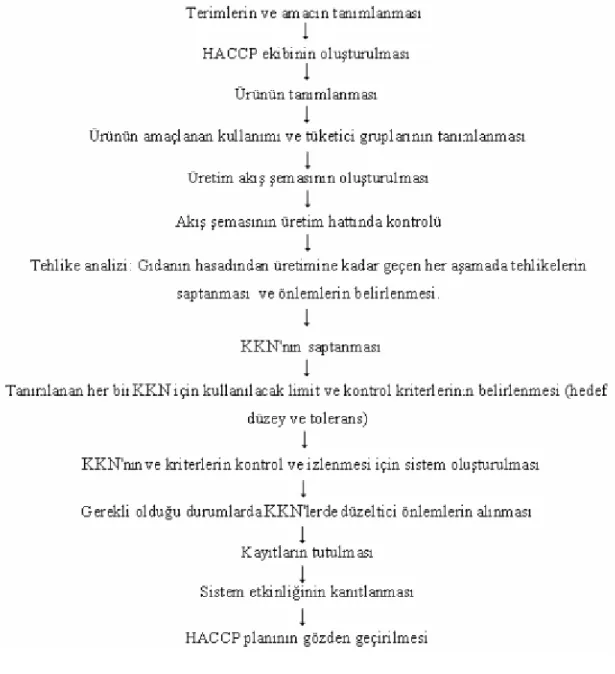 Şekil 3.1. HACCP uygulama aşamaları 
