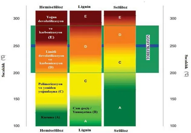 Şekil 2.  2. Termik işlem sırasında odun selülozu malzemesinin bozulma rejimleri (Uslu  vd