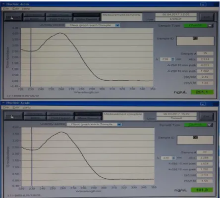 Şekil 3.4. Nanodrop ®  1000 spektrofotometre ile miktar ve kalitesi ölçülmüş DNA örnekleri 