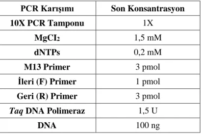 Çizelge 3.3. Çalışmada kullanılan SSR primerleri için optimize edilmiş PCR koşulları  PCR Karışımı  Son Konsantrasyon 