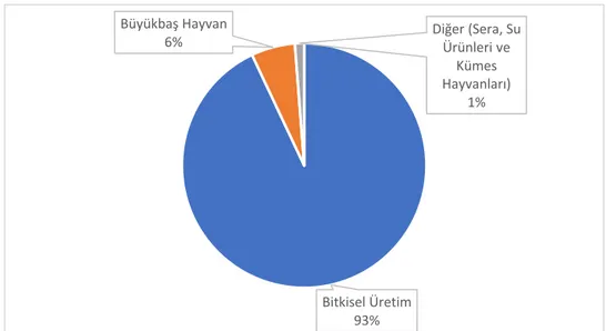 Şekil 28: 2009 Yılı Branş Bazında Düzenlenen Poliçe Sayılarının Sigorta Türüne  Göre Yüzdelik Dağılımı