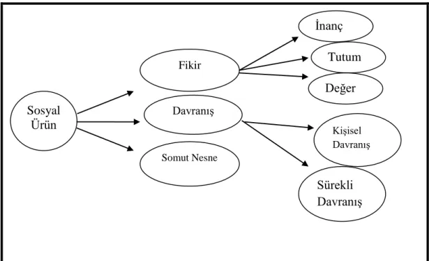 Şekil 1: Sosyal Ürün Şeması 