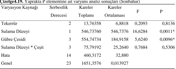 Çizelge 4.20. Yaprakta K elementine ait varyans analiz sonuçları (Sonbahar)  Varyasyon Kaynağı  Serbestlik 