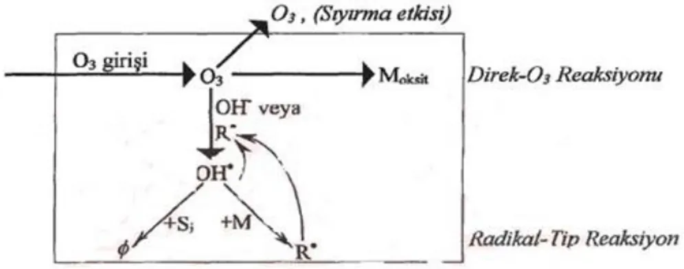 Şekil  2.14.  Ozonun  Reaksiyon  Yolları,  M=Çözünmüş  Madde,  Moksit=Oksitlenen  Çözünmüş 
