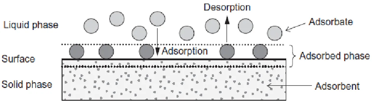 Şekil 2.16  Adsorpsiyonun temel terimleri (Kaynak: Worch, 2012) 