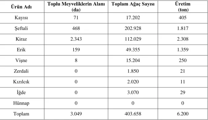 Çizelge  1.1.  Tekirdağ  İli’ndeki  sert  çekirdekli  meyve  üretim  alanları  ve  üretim  miktarları  (Anonim  2015) 