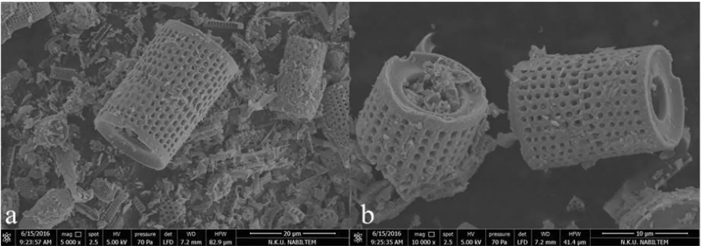 Şekil  4.1.  Silicosec ®  (Almanya)  ticari  diatom  toprağını  oluşturan  diatomitlerin  görüntüleri:                     (a) 5000x büyütme (b) 10000x büyütme  