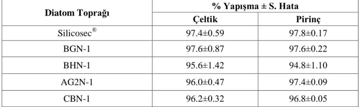 Çizelge 4.2. Biyolojik testlerde kullanılan diatom topraklarının, çeltik ve pirinç üzerinde 