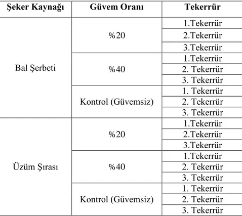 Çizelge 3.1. Tez çalışmasına ait deneme planı 