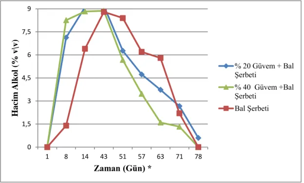 Şekil 4.1. Yavaş yöntemle elde edilen güvem sirkelerinde alkol ve asetik asit fermantasyonu  sırasında alkol miktarındaki değişim 