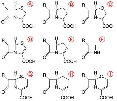 Şekil 2.2. β-laktam  yapıları, (A) Bir penam. (B) Bir karbapenam. (C) Bir oksapenam. (D Bir    penem