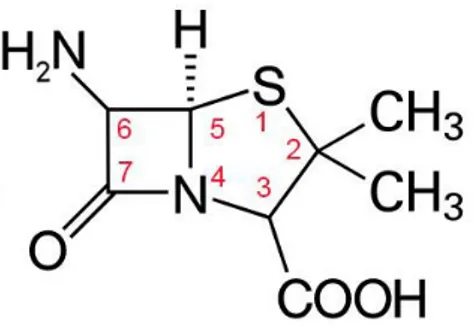 Şekil 2.3’ deki penam molekülünün numaralandırılması kükürt atomundan başlanarak  saat  yönünde  numaralandırılmaya  devam  eder