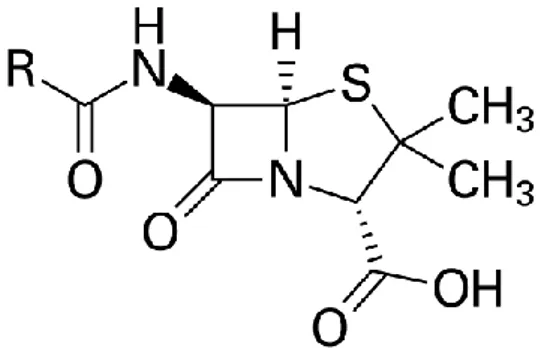 Şekil 2.4. Penisilinin moleküler yapısı (R değişken grup) 