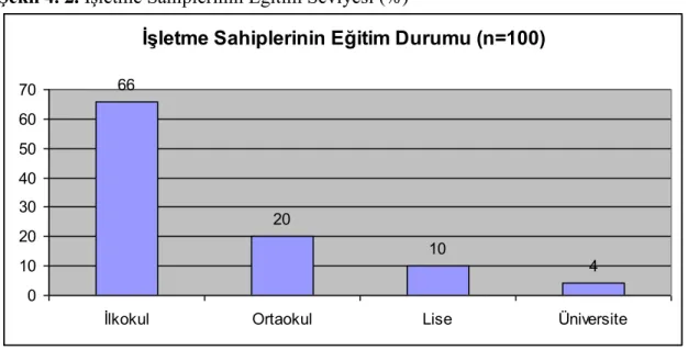 Şekil 4. 2. İşletme Sahiplerinin Eğitim Seviyesi (%) 