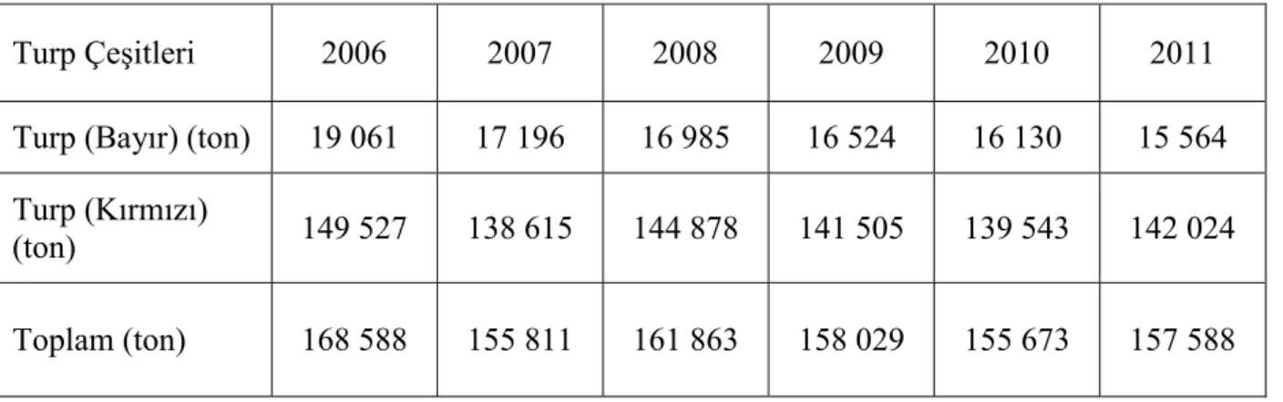 Çizelge  1.1.  Türkiye’de  turp  üretiminin  yıllara  göre  dağılımı  ve  üretim  miktarları  Turp  Çeşitleri  (Akan ve ark
