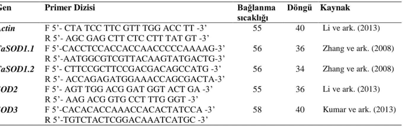 Çizelge 3. 6. Çalışmada kullanılan genlere ait primer dizileri ve PCR uygulamaları 