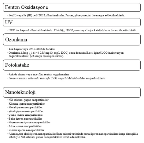 Çizelge  2.3.  E.coli  inaktivasyonu  amacıyla  kullanılan  ileri  oksidasyon  prosesleri  (Meric  ve 