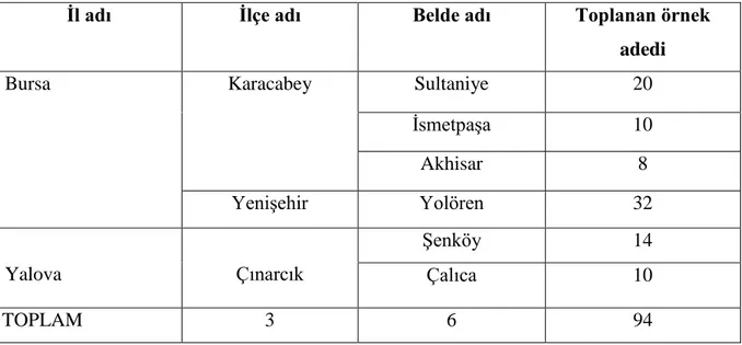 Çizelge 3.1. Marmara Bölgesi’nin Bursa ve Yalova İlleri’ndeki domates üretim alanlarından  toplanan örnek sayıları 