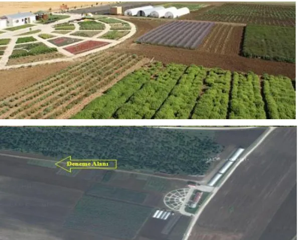 Şekil 3.1. Deneme alanı (TÜRAM Silivri 2016) 