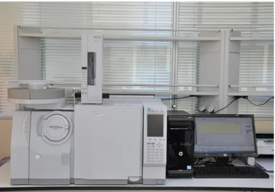 Şekil 3.16. Gaz kromatografisi kütle spektrometresi  Teknik özellikler 