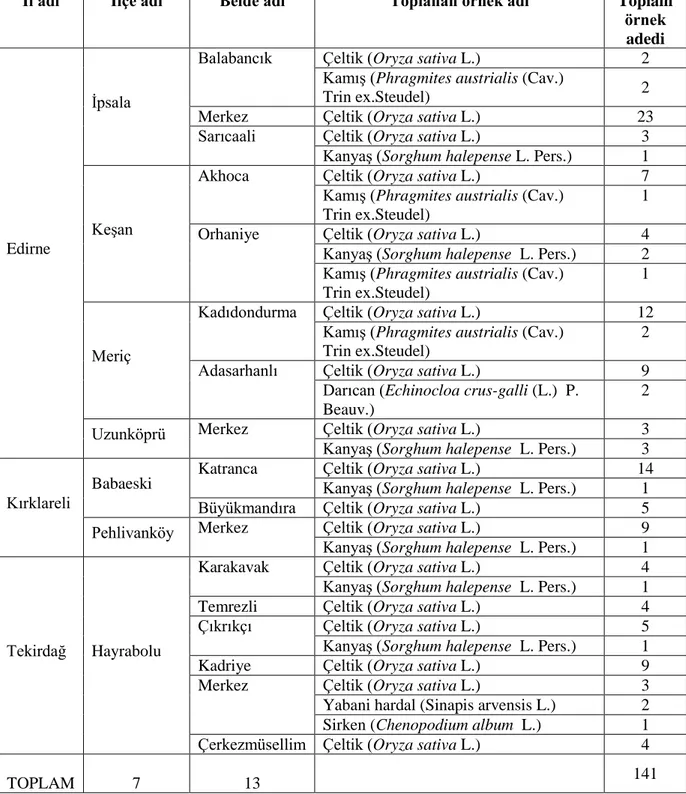 Çizelge  3.1.  Trakya  Bölgesi’nin  Edirne,  Kırklareli  ve  Tekirdağ  İlleri’ndeki  çeltik  üretim  alanlarından toplanan örnek sayıları  
