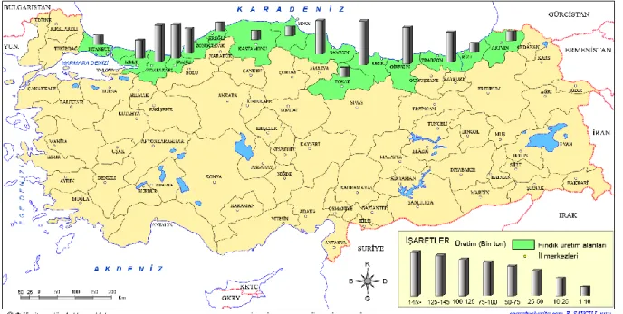 Şekil 1.1: Türkiye fındık üretim haritası (Anonim 2014) 