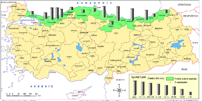 Şekil 1.1: Türkiye fındık üretim haritası (Anonim 2014) 