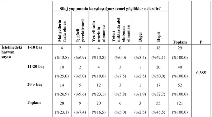 Çizelge 9. İşletmedeki hayvan sayısı ile silaj yapımında karşılaşılan güçlükler 