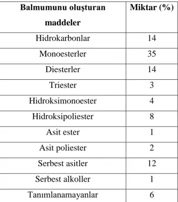 Çizelge 2.6.2: Balmumunun Kimyasal Yapısı (Schmidt ve Buchmann 1997)  Balmumunu oluĢturan  maddeler  Miktar (%)  Hidrokarbonlar  14  Monoesterler  35  Diesterler  14  Triester  3  Hidroksimonoester  4  Hidroksipoliester  8  Asit ester  1  Asit poliester  2