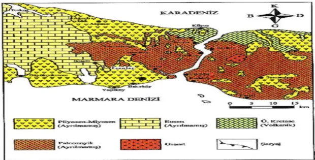 Şekil 3. 5 :Marmara Bölgesinin Jeolojik Durumu 