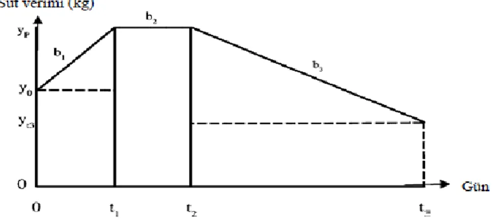 Şekil 1.2 Tipik laktasyon eğrisinin biçimsel olarak oranlanması (Yazgan 2010) 