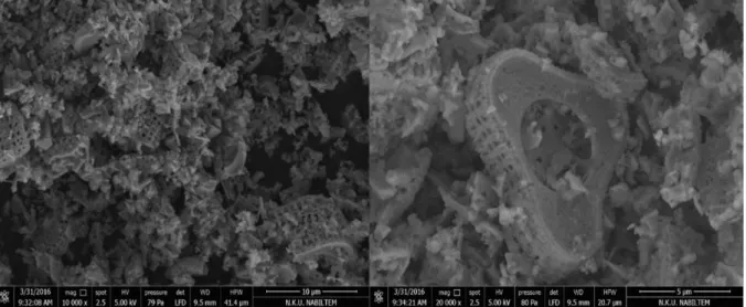 Şekil 4.1. ACN-1 (Ankara)  diatom toprağındaki diatomitlerin 10000x ve 20000x görüntüsü