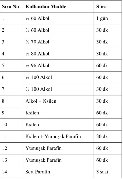 Tablo 3.1. Histolojik takip basamakları 