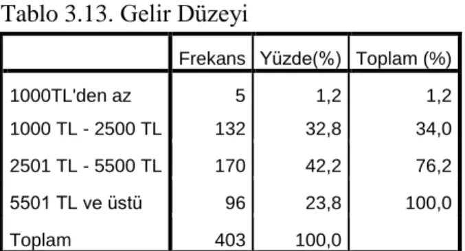 Tablo 3.13. Gelir Düzeyi 