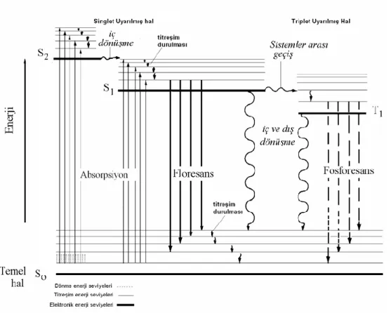 ġekil 2.1. Fotolüminesans bir sistem için kısmi enerji-düzey diyagramı 