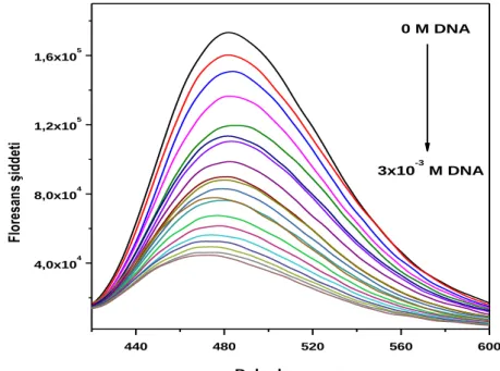 ġekil  4.1.  AN1  hidrazon  türevinin  floresans  emisyon  Ģiddetine  ct-DNA  çözeltisinin  oda  sıcaklığında etkisini gösteren spektrum 