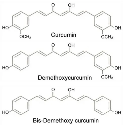 Şekil 7. Kurkuminoidlerin kimyasal yapısı (Wilken et al. 2011). 