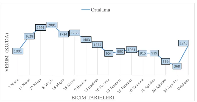 Şekil 4.1. 2014 yılı  ortalama yeşil ot verimi gelişim eğrisi 