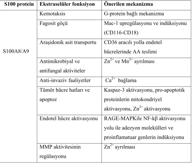 Tablo 1.5: Kalprotektinin ekstraselüler fonksiyonu ve mekanizmaları (Ryckman ve  diğ. 2003b, Champaiboon ve diğ