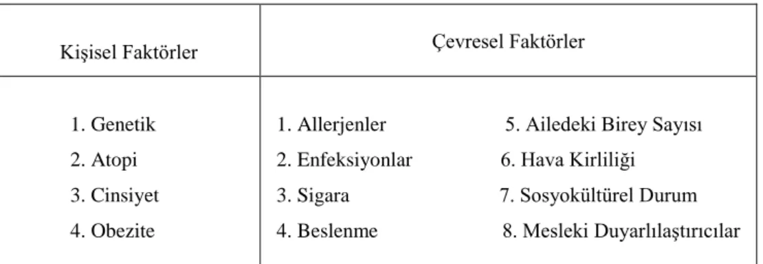 Tablo 2. 1.  Astım risk faktörleri    