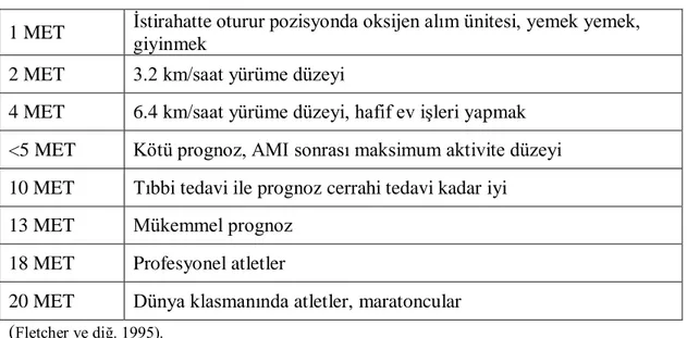 Tablo 2.2: Maksimum Egzersiz İçin Klinik Önemi Olan Metabolik Eşdeğerler 