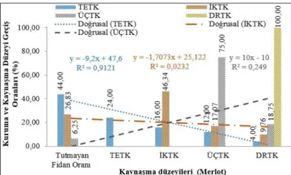 Şekil 4.5. Merlot çeşidinde dikim öncesi ve vejetasyon sonrası MRI’ı çekilen fidanlarda fidan  yüzdesinin değişimi  [TETK (Tek Taraflı Kaynaşma), İKTK (İki Taraflı Kaynaşma), ÜÇTK (Üç  Taraflı Kaynaşma), DRTK (Dört Taraflı Kaynaşma), MRI (Manyetik Rezonans