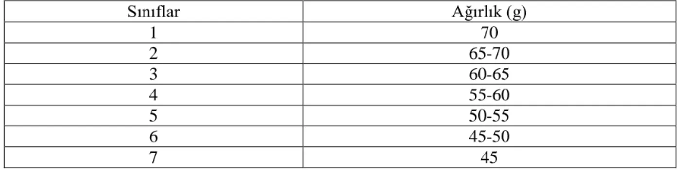 Çizelge 2.1 : Ağırlığa göre yumurta sınıfları 
