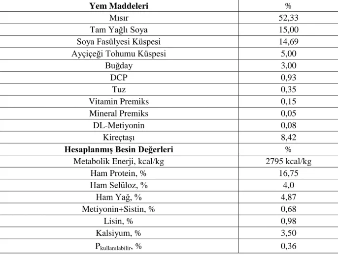 Çizelge 3.1 : Bazal Rasyon 
